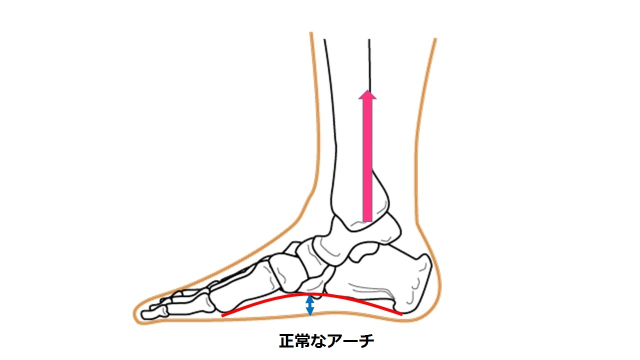 正常な足2